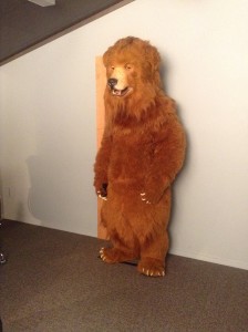 Barry-the-Bear-being-auditioned-in-shoot